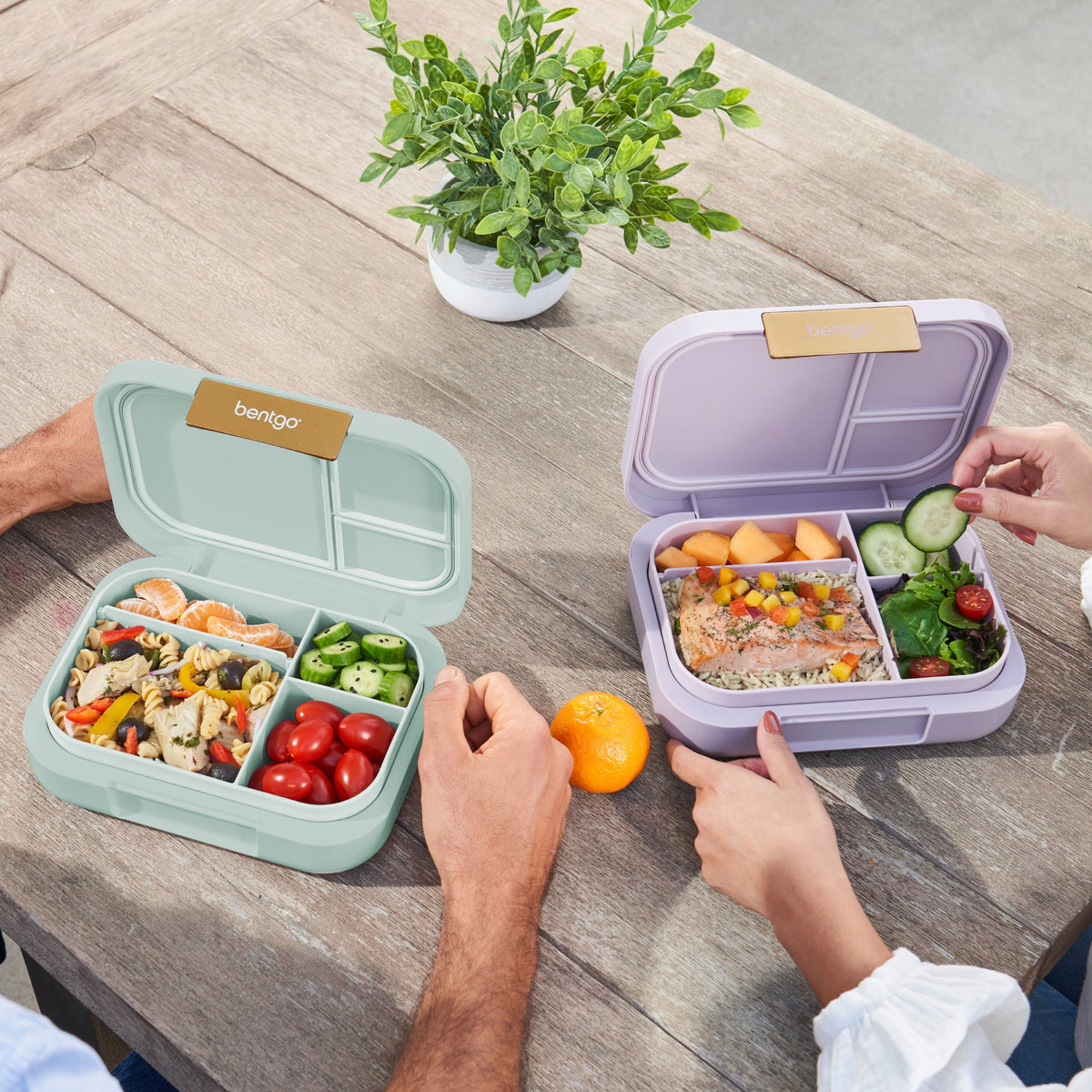 bentgo-modern-lunch-box-2-pack-i9 COSTCOBMCPRODUCTIMAGE_2.jpg